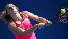 České tenisové tažení pokračuje: Siniaková porazila světovou čtyřku, Štěpánek ve čtvrtfinále