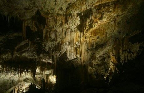 pagetov sl v Postojnsk jeskyni