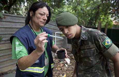 Pracovnice zdravotnho adu v Sao Paulu ukazuje vojkovi larvu komra Aedes...