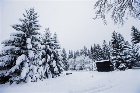 Snhové závje - ilustraní foto.