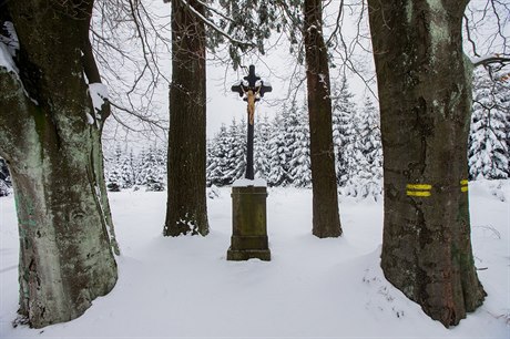 Desítky kiovatek v brdských lesích postrádají znaení