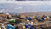 Experti varují před velkým množstvím plastů v přírodě již desítky let. Jeho...