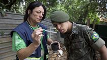 Pracovnice zdravotního úřadu v Sao Paulu ukazuje vojákovi larvu komára Aedes...