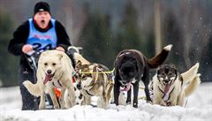Pes 140 závodník z devíti evropských stát zdolají 240 kilometr po stezkách...