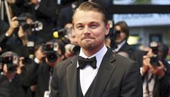 DiCapriova nadace získala stamiliony. Poputují na ochranu přírody