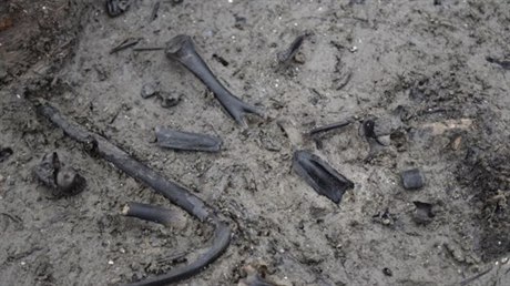 Brittí archeologové mají nové nálezy v britských Pompejích