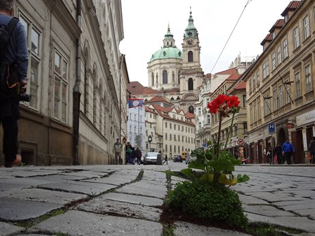 Zdá se vám, e centra mst jsou píli edá, oprýskaná a tém bez zelen?...