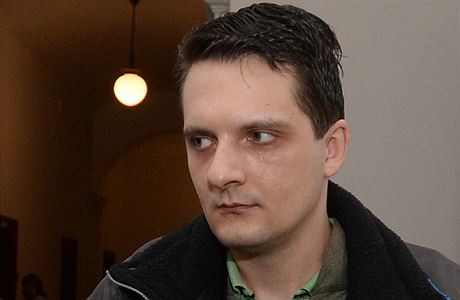 Krajský soud v Plzni rozhodl 11. února, e psychicky nemocný ticetiletý mu...