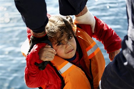 Ilustraní foto: V EU podalo ádost o azyl pes 88 tisíc nezletilých.