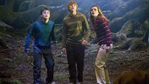 Nicholas Hooper sloil hudbu k filmu Harry Potter a Fnixv d