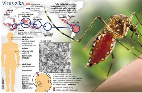 Co je a co zpsobuje virus zika