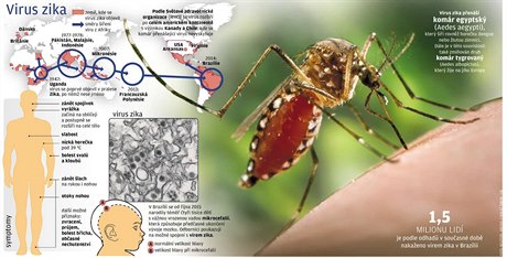 Co je a co způsobuje virus zika