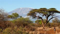 Kilimandáru ledová epice kadým rokem ustupuje