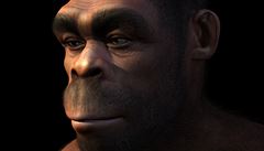 Archeologové nedaleko Říma objevili ostatky devíti neandertálců, stáří kostí odhadují až na 68 tisíc let
