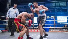 Galaveer profesionálního boxu v plzeské HM Aréna.