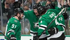 Radek Faksa (12).