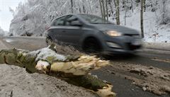 Komplikace v doprav - rozbedlý sníh a popadané kusy strom.