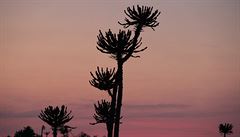 Krásný západ slunce..