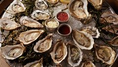 Výbr 12 druh ústic