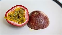 Vybírejte ovoce s mírn� svra�t�lou k�rou, mají vyzrálej�í vnit�ek