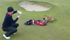 Lika krade penenku golfistovi