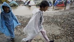 Červený kříž chce najít opuštěné děti uprchlíků. Jejich počet stále roste