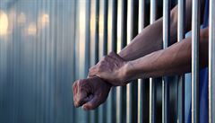 Unikátní statistiky znásilnění za mřížemi: 4 roky, na 40 nahlášených případů