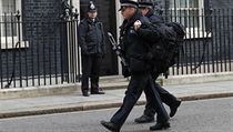 Ozbrojen policist ped 10 Downing Street v Londn.