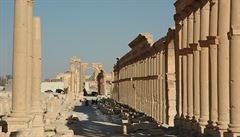 Ruská armáda staví u Palmýry základnu. Narušuje chráněnou zónu, tvrdí památkář