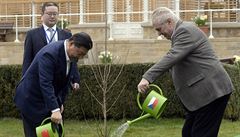 V zámecké zahrad prezidenti spolen zasadili a zalili památný strom.