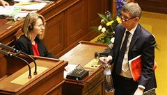 Andrej Babi pichází na jednání Poslanecké snmovny.