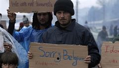 Nejsme teroristé. Odpus, Belgie. Uprchlíci v Idomeni vyjadují solidaritu s...