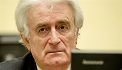 ‚Vinen z genocidy, přál si smrt Muslimů.‘ Radovan Karadžić odsouzen na 40 let