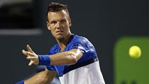 Tom Berdych v Miami proti Novaku Djokoviovi.