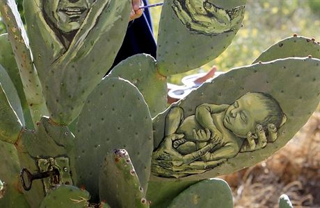 Palestinsk vtvarnk Ahmad Yasin maluje pmo na kaktusy.
