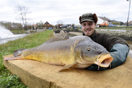Žádné jiné rybí plemeno v Česku nebylo uznáno už více než 20 let.