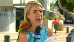 Reportrce neekan usedl na rameno papouek a vydsil ji k smrti