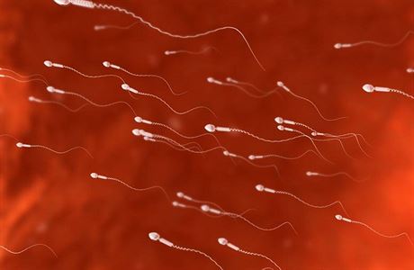 sperma și anti-îmbătrânire crema de fata cu spf douglas