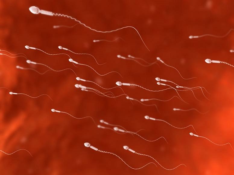 Bir teshikda ikkita uy qurilishi pornosini onlayn tomosha qiling Mushuk jinsiy aloqa fotosuratida elektr toki urishi