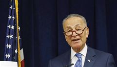 Americký senátor Charles Schumer.