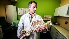 Jan �tulík, �pi�kový páte�ní chirurg a primá� spondylochirurgické kliniky...