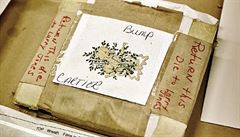 Český ručně vyráběny papír si oblíbila i britská královna