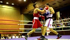 Jet rychleji vyprovodil hostujícího boxera ve váze do 76 kilogram Ukrajinec...