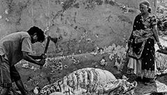 Série z Indie zachycuje �ivot p�íslu�ník� nejni��í kasty, takzvaných dalit�,...