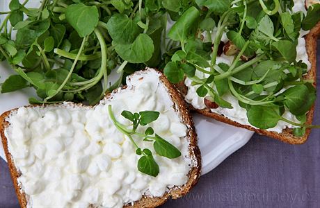 Na tmav� chl�b dejte cottage cheese a dopl�te poto�nic�