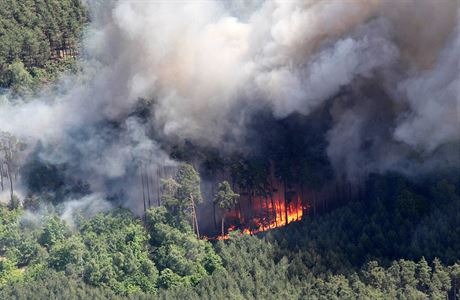 Obří požár lesa v Bzenci v roce 2012.
