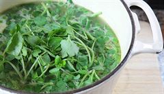 Poto�nice neva�te, jen ji v polévce rozmixujte