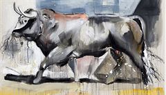 Martin Krajc v Nové síni vystavuje sérii maleb býk vrených do arény a nárue...