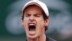 Andy Murray v zápase 1. kola French Open proti Radku tpánkovi.