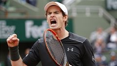 Radek tpánek a Andy Murray.
